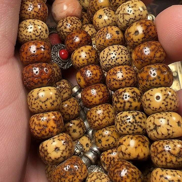 我们都是在这里看到的哈我们