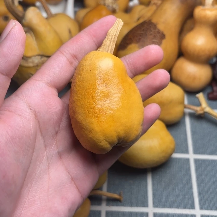 j***t坑666666666666葫芦