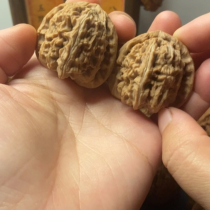 文玩核桃  白狮子40