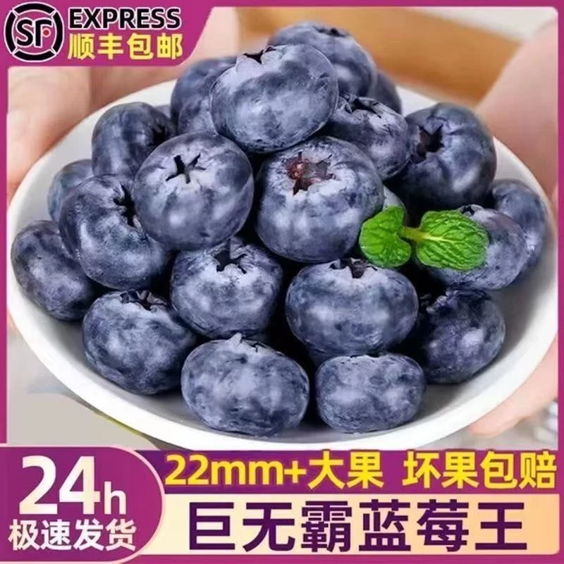 【顺丰包邮】丹东蓝莓花香蓝莓新鲜采摘孕妇宝宝水果香甜多汁蓝莓
