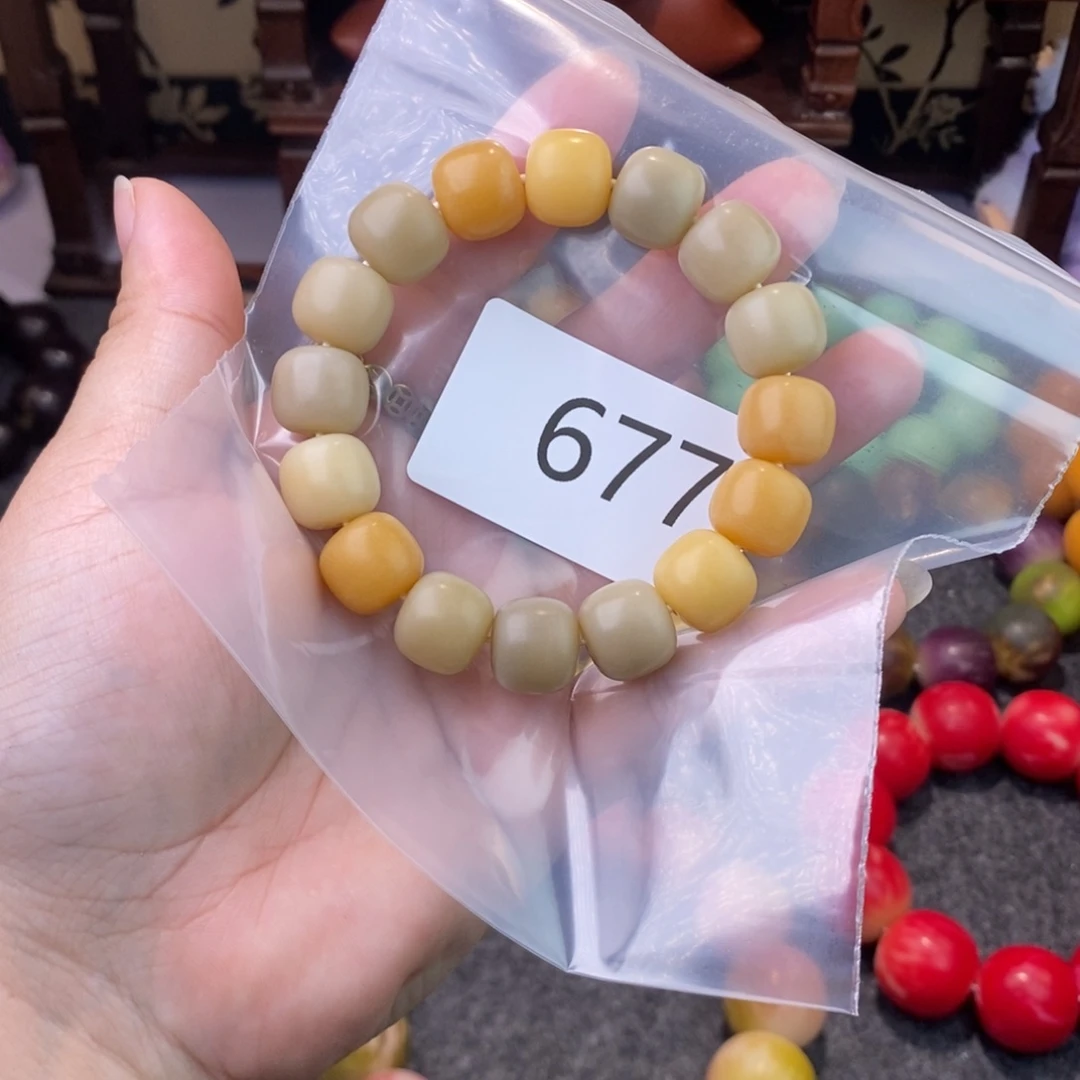 菩提根/象牙果吊坠677……