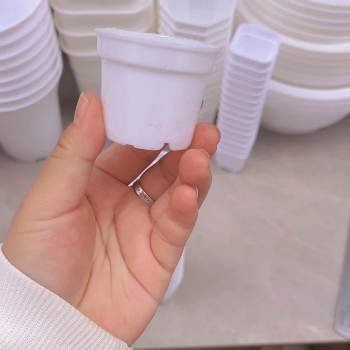 小圆盆口5高4一组50个