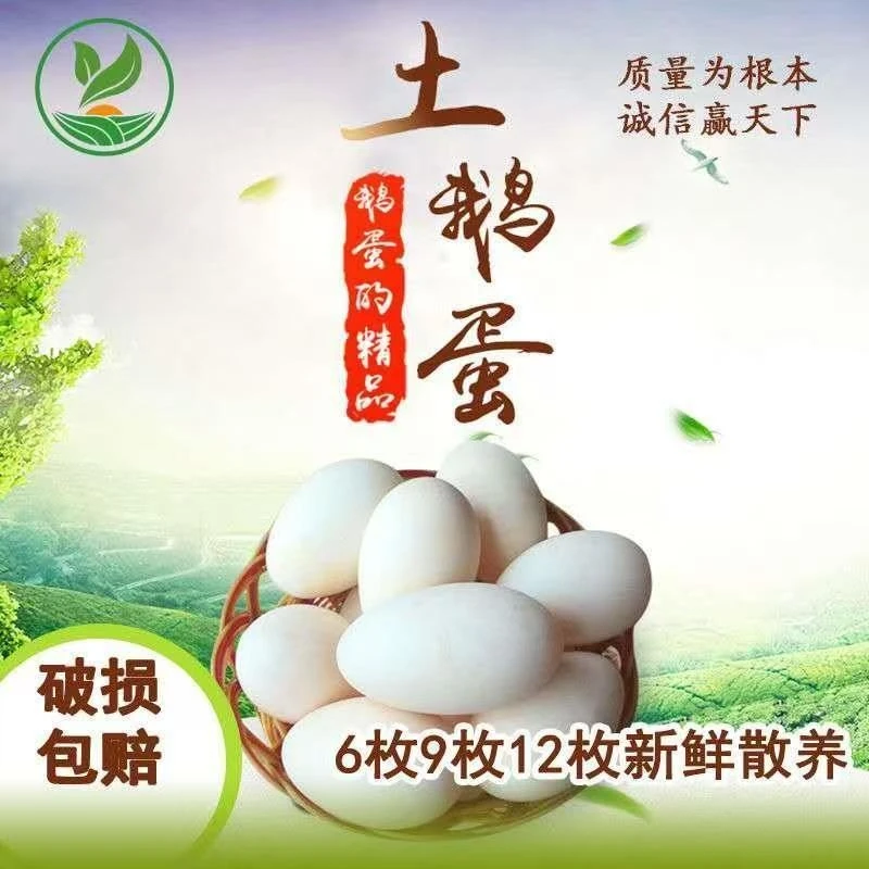 润耘鹅蛋新鲜农家散养大土生鹅蛋孕妇宝宝可食用