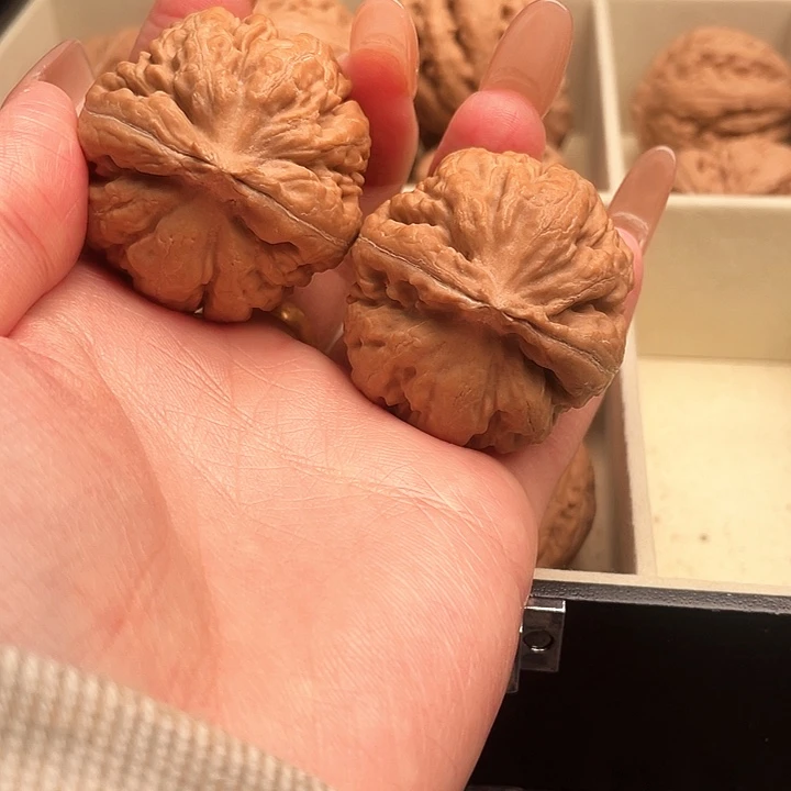密***许霸王龙核桃尺寸37+