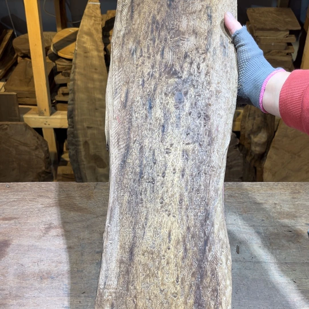 金丝楠金丝楠原材料