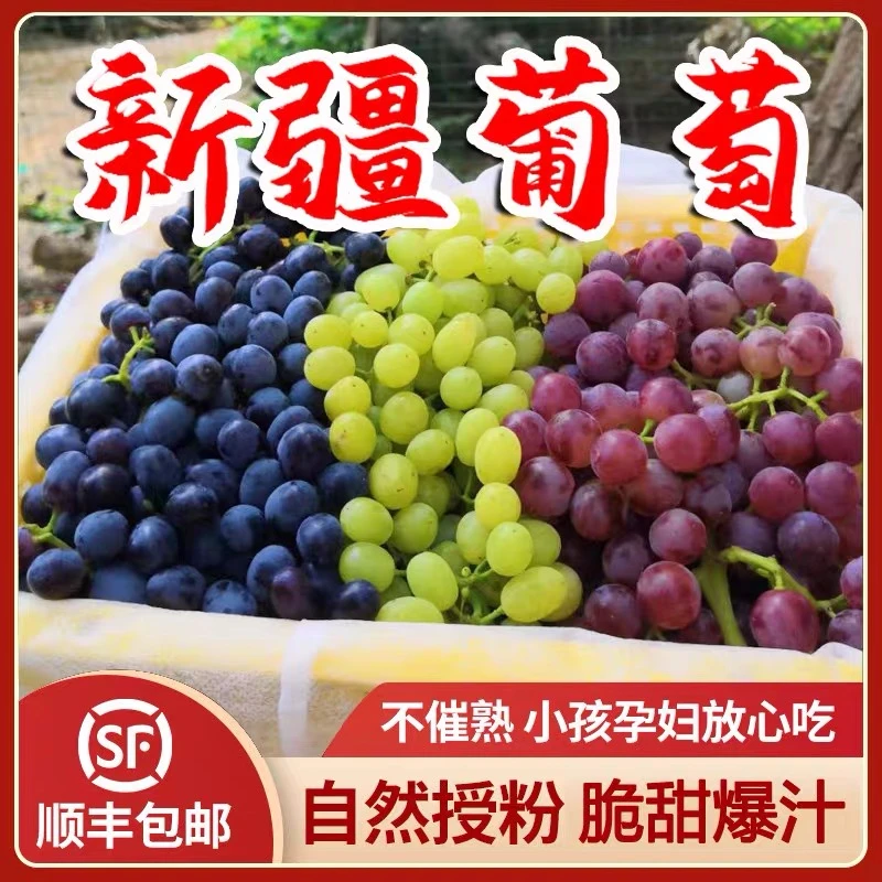【顺丰空运】三色葡萄脆甜可口皮薄无籽新疆直发无核白玻璃翠黑马特