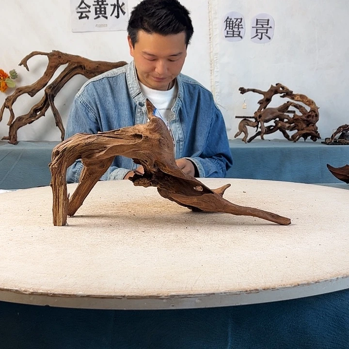 孟*新年快乐沉木造景