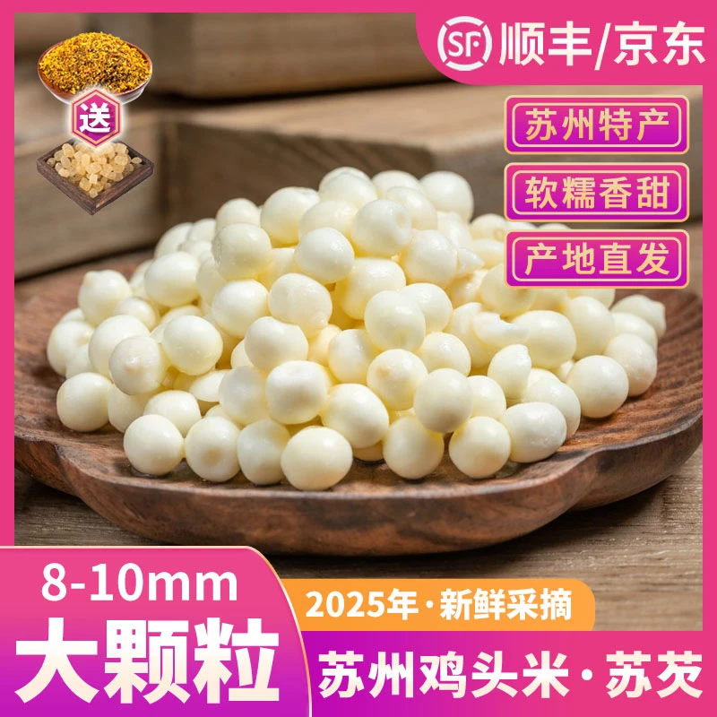 【大颗粒福利】苏州鸡头米新鲜采摘芡实软糯香甜苏州原产地 8-10mm