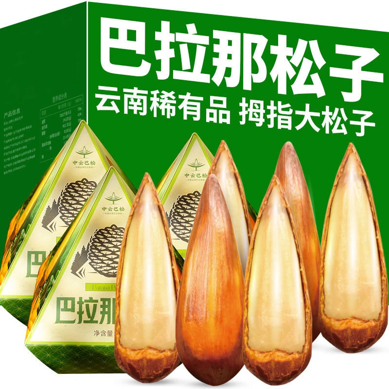 滇品客巴拉那拇指大松子云南稀有品种巴西松子熟制坚果80g礼盒装