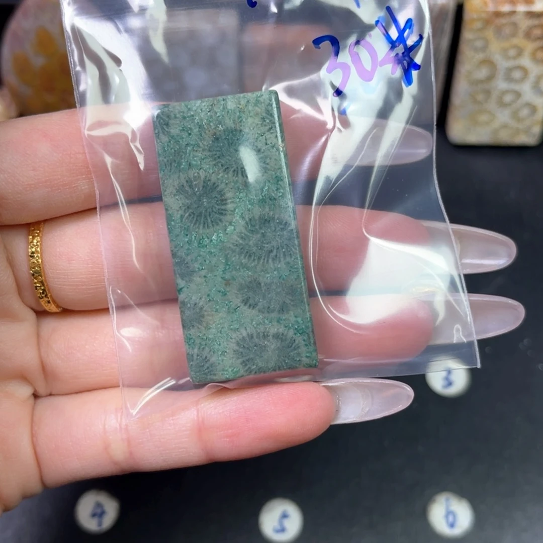 硅化珊瑚（珊瑚玉）未镶嵌吊坠