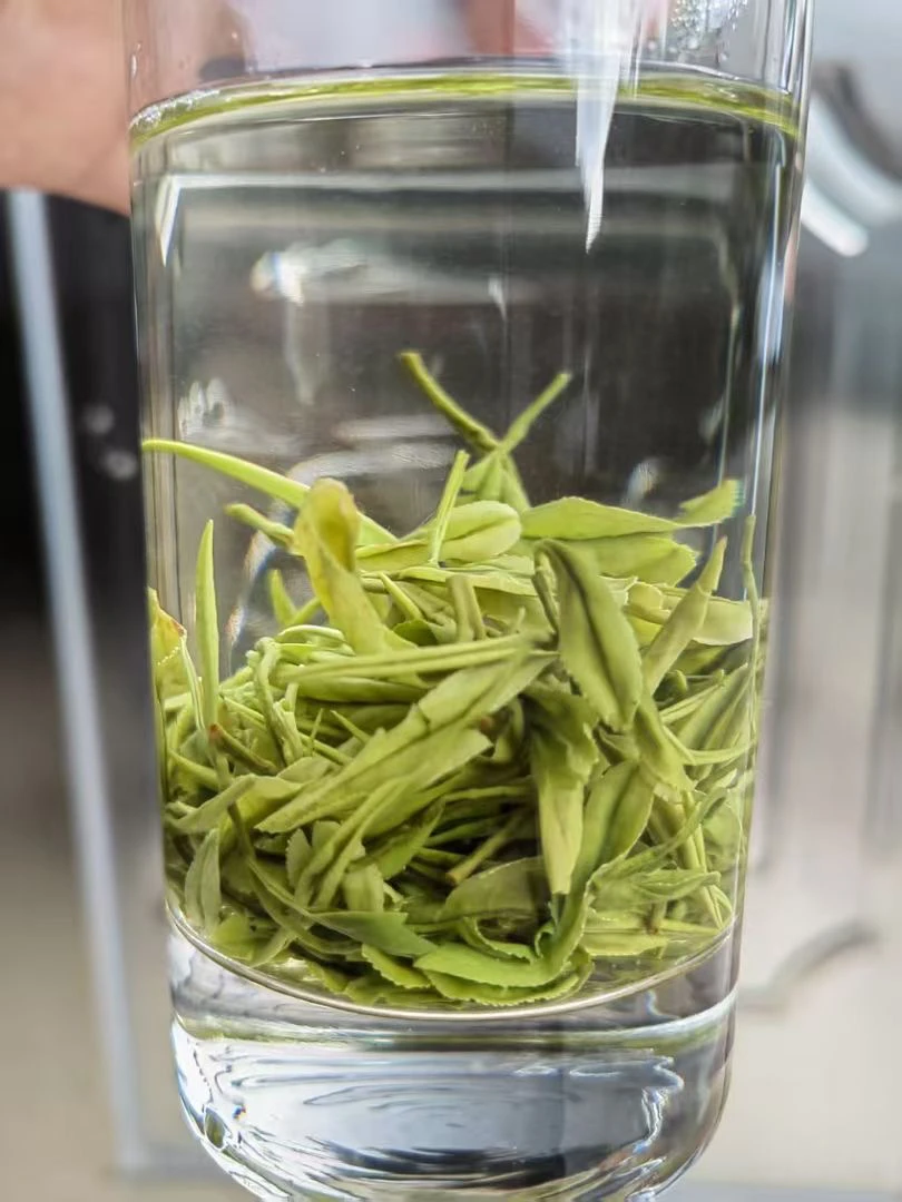 白茶 2025春茶非神农架