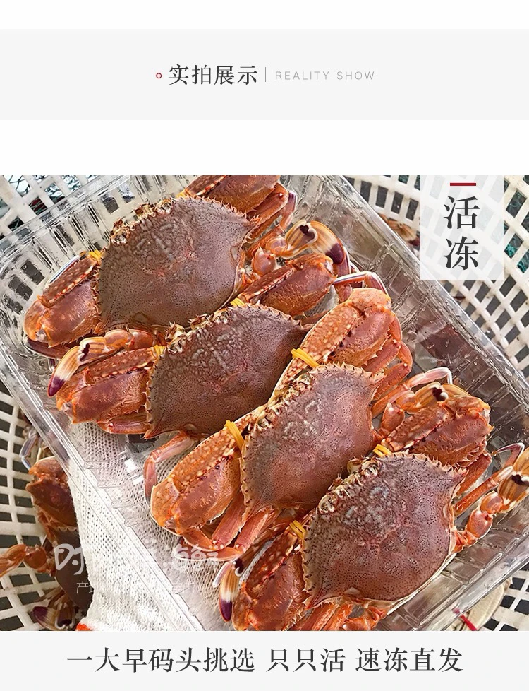 神泉本港大订排肉蟹5斤广东包邮