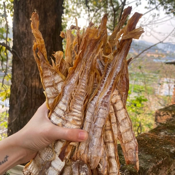 福建古田黄尖笋干甜笋干传统工艺清香脆嫩易泡发