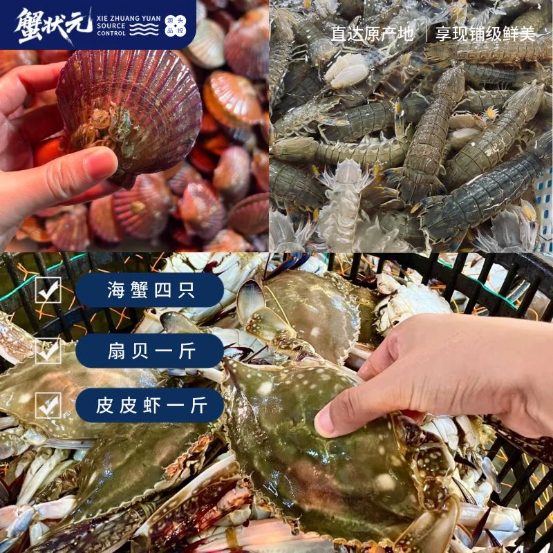 4只海蟹（3-5两）+1斤皮皮虾+1斤扇贝【保鲜不保活】公母混发