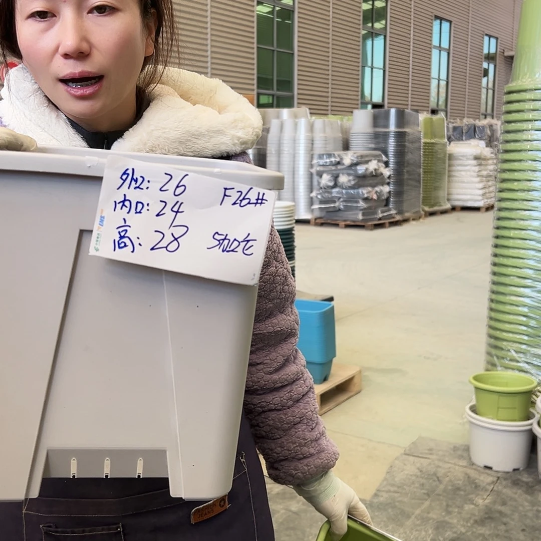 方盆F26灰白3个无托