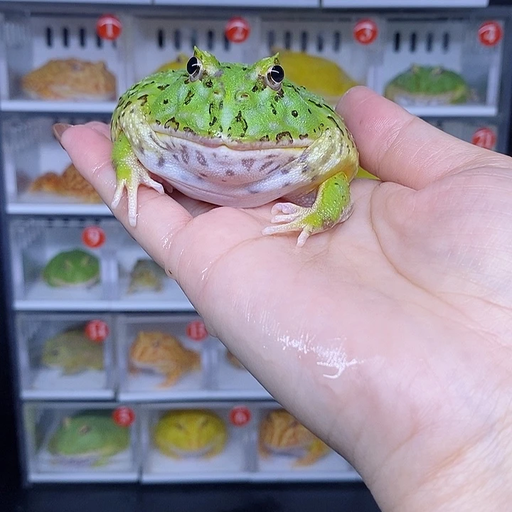 特价秒杀现货特价瑕疵