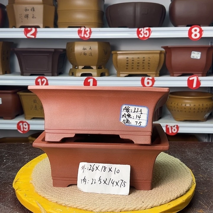 花盆紫砂你在一起
