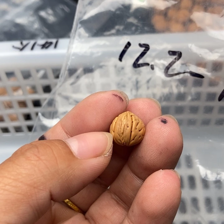 涛***)吊坠文玩核桃散发20随单