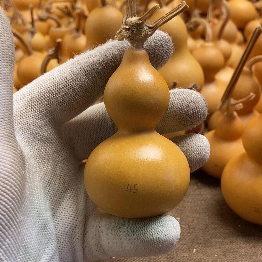 文玩葫芦 完美主义者 慎拍45