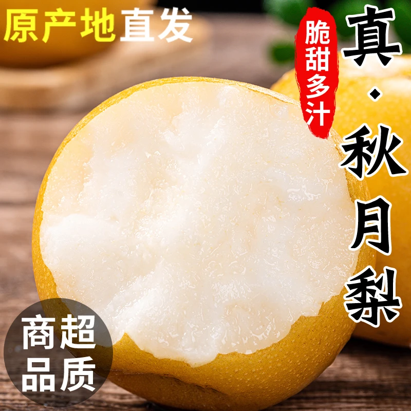 正宗秋月梨中秋新鲜现摘现发脆甜多汁当季水果维C产地直发包邮