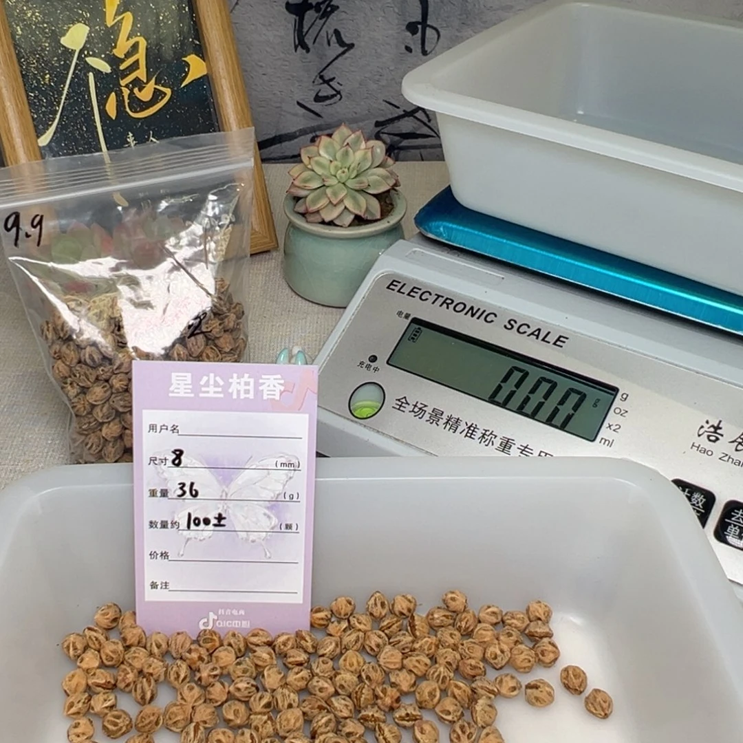 柏香籽/百香籽吊坠