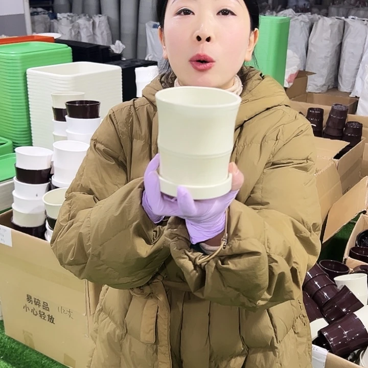竹节口10高10米色10只带托