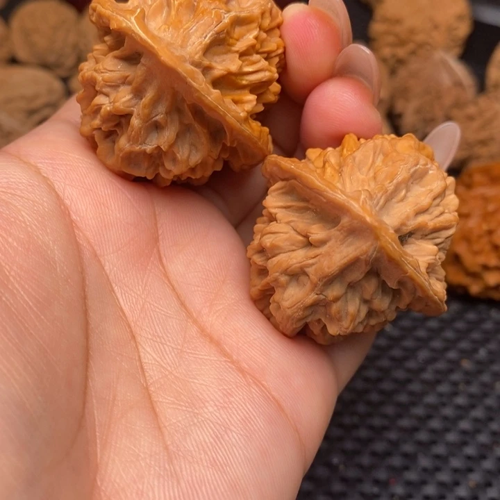 秦岭野生2222222222