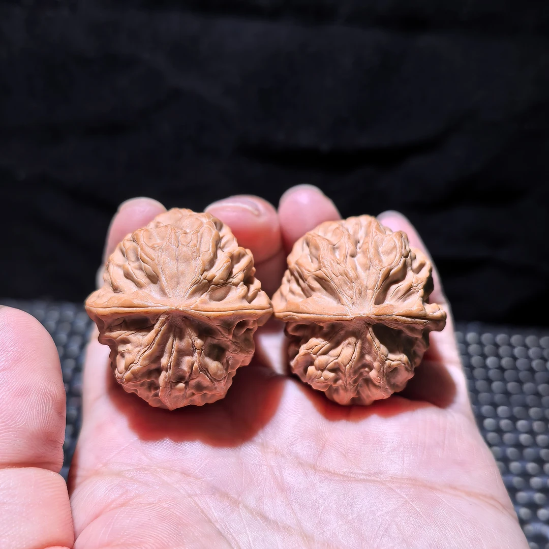 高端野核，龙纹方尊，精品头货，品质天花板边肚高36/38/39