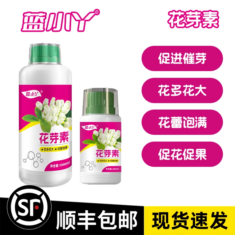 蓝小丫花芽素花芽增多促花坐果打破休眠花芽分化阳台蓝莓植物肥料