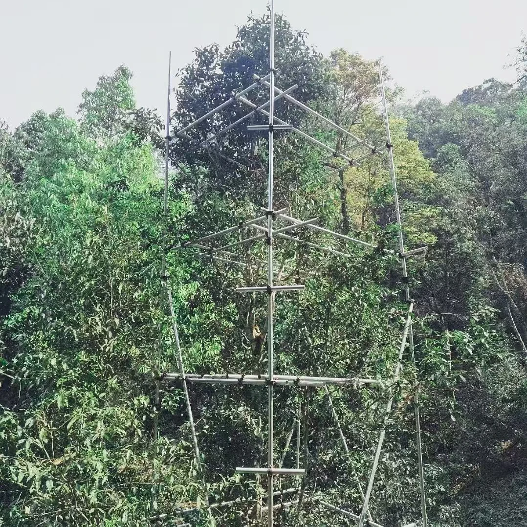 生茶2025年 天门山· 马叭 头春茶我到茶山去严选普洱茶
