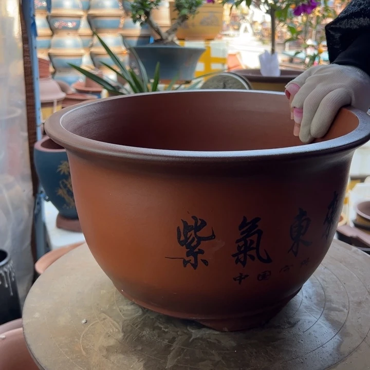 紫砂35紫气东来 口径35×21