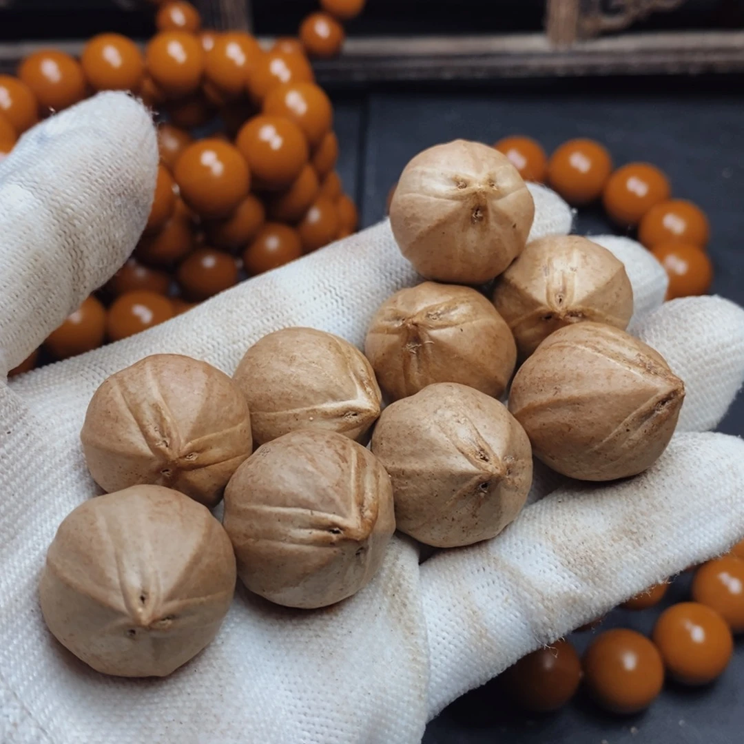 手串/手链橄榄核2.1X2.7尺寸树王铁核