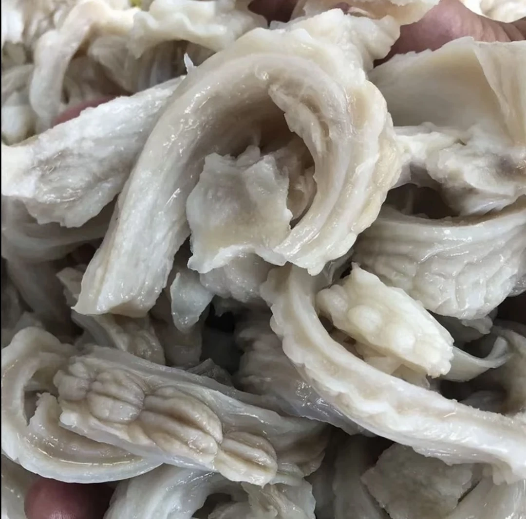 新鲜爽口嫩脆的鲨鱼肚 爆炒 红烧 煲汤 新鲜发货 3/5斤