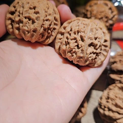 文玩核桃吊坠43白狮子