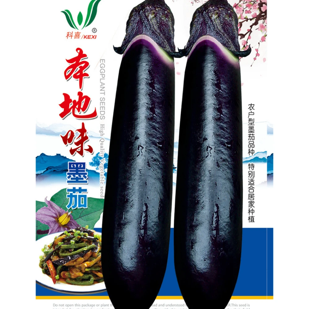 本地味墨茄种子早熟皮薄肉嫩采收期长紫墨色本地茄子蔬菜种子