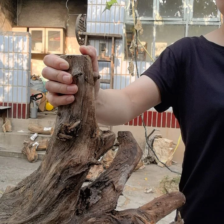 郭***新木太行崖柏摆件摆件
