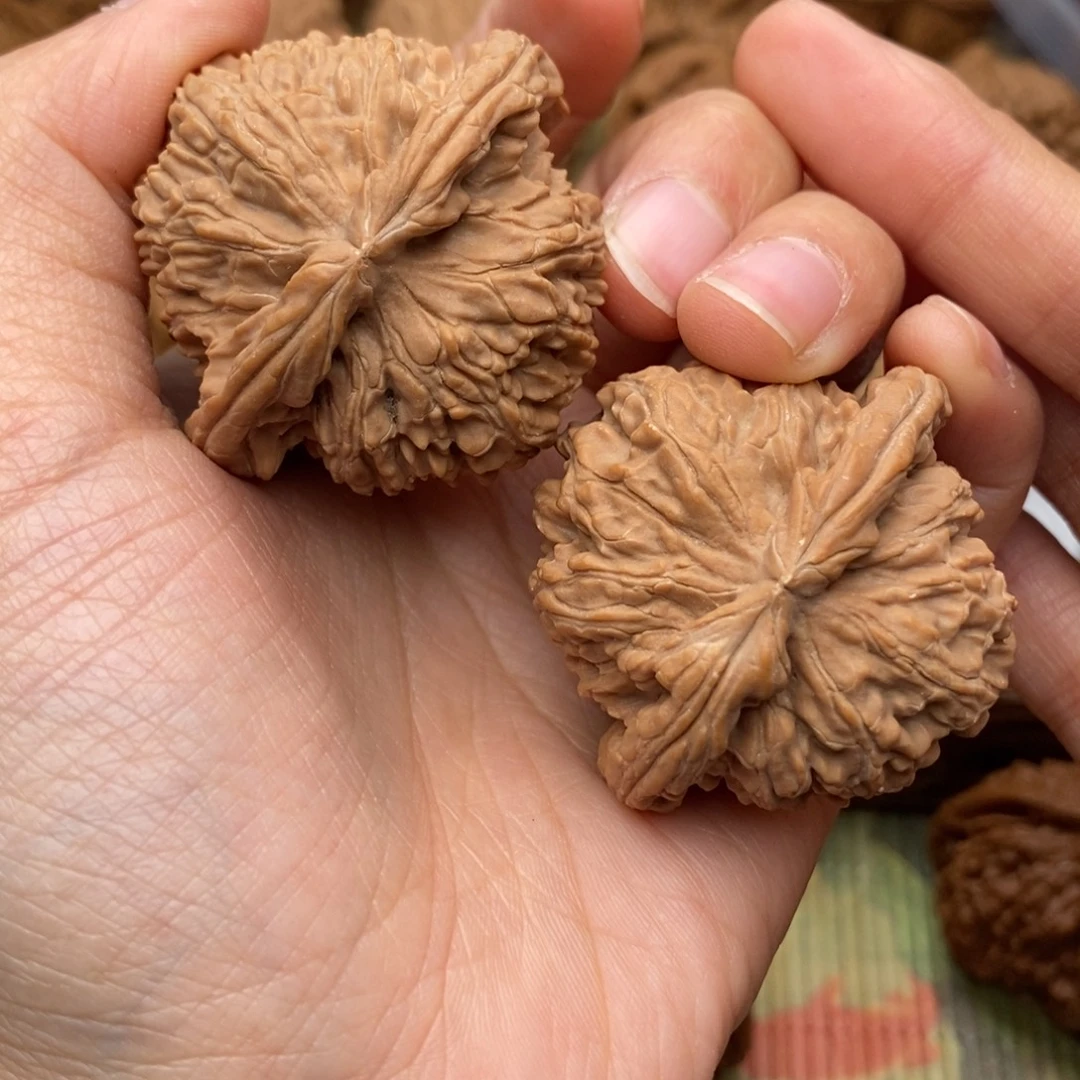 文玩核桃把件496号44全品白狮子