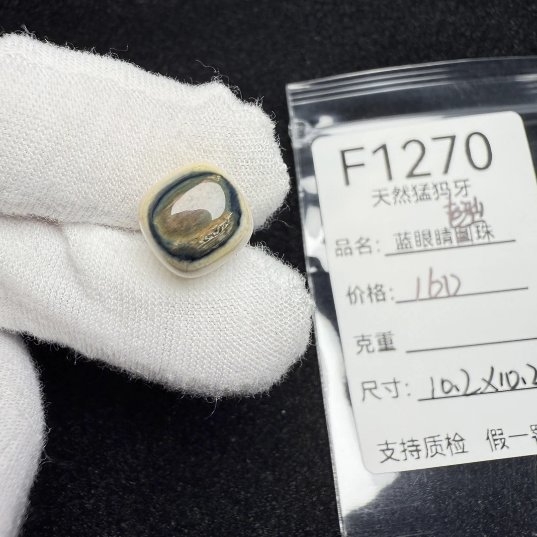 F1270天然猛犸象牙蓝皮老型桶珠墩子顶珠配珠配饰10.2*10.2mm