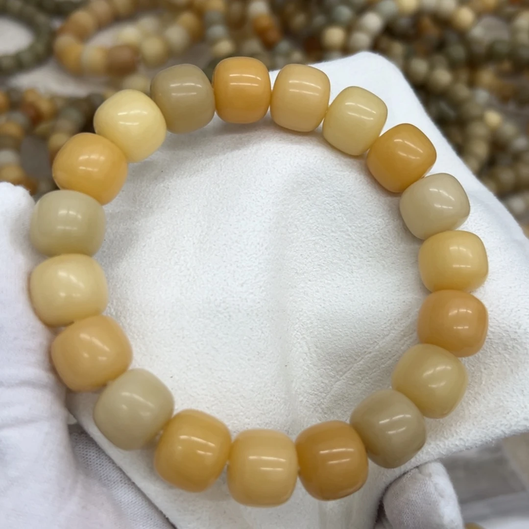 吊坠菩提根/象牙果15干磨燕麦奶咖851