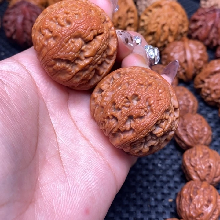 秦岭野生0000000110