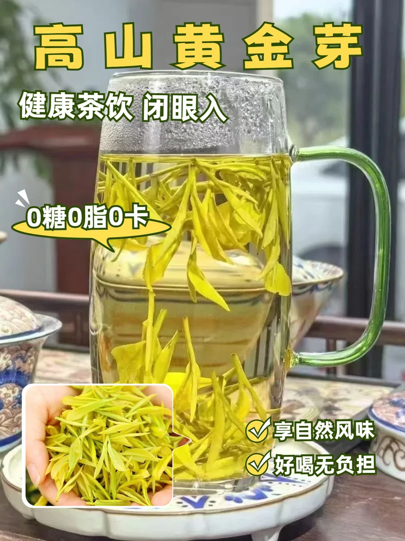 2025黄金芽新茶豆香浓郁嫩芽手采厂家直销高山云雾绿茶白茶浓香