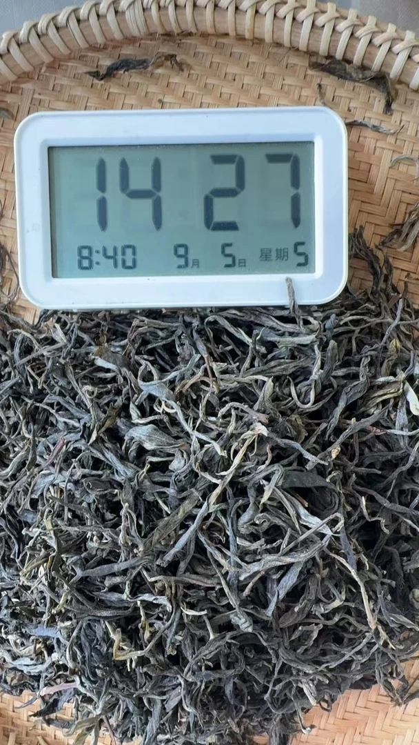 老吴严选-【237】2025年（春）章外石头寨普洱生茶散茶 9-5
