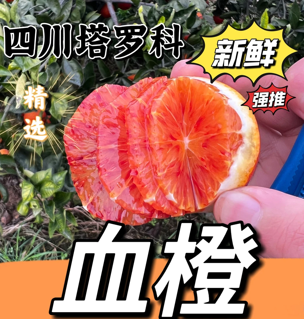 果冻血橙】血橙新鲜果冻橙子四川塔罗科薄皮红橙当季孕妇手剥脐橙
