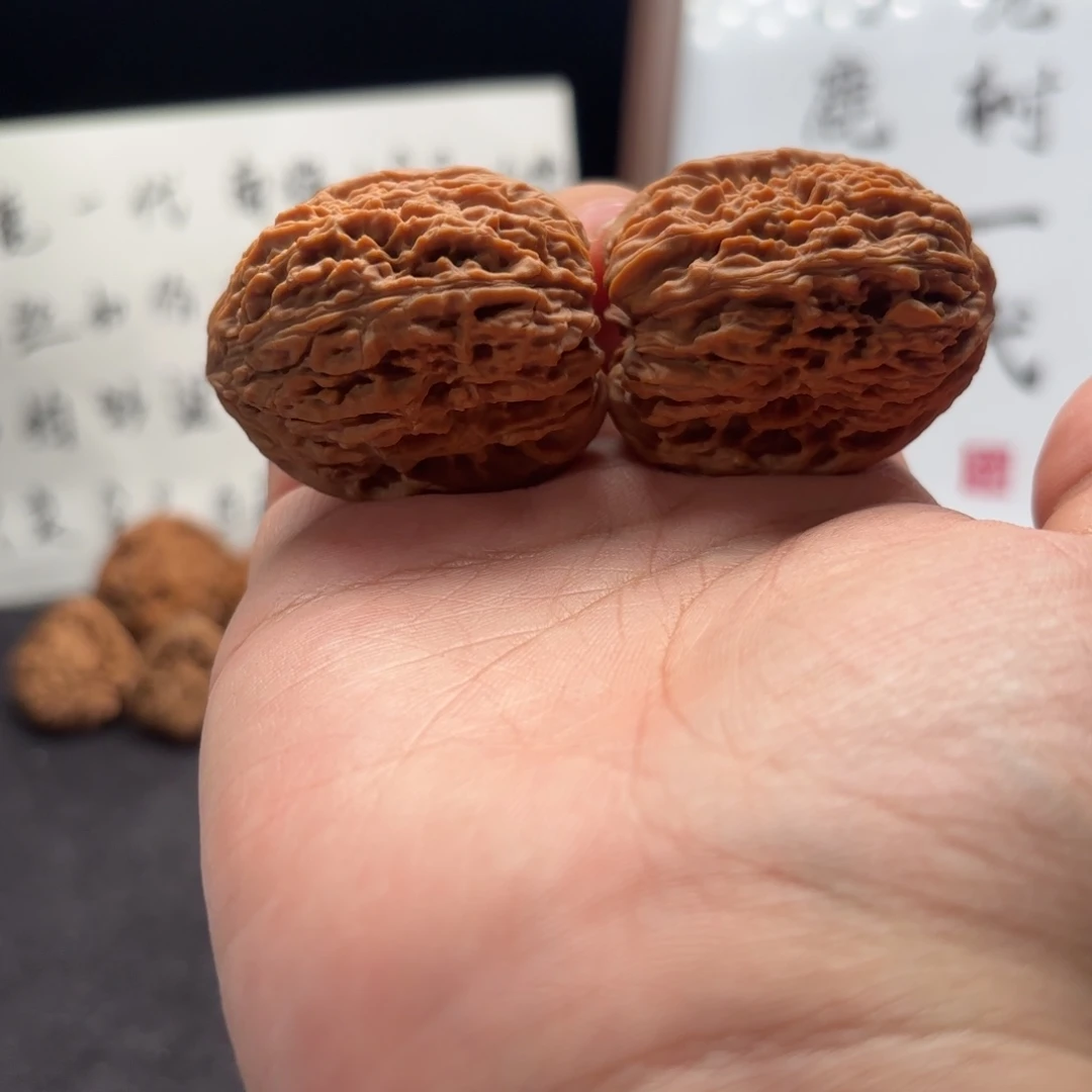 壹***风核桃涿鹿南疆涿鹿