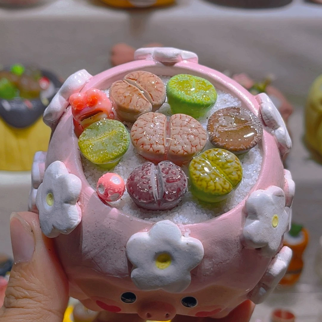 H****芬芬宝专属链接拍拍