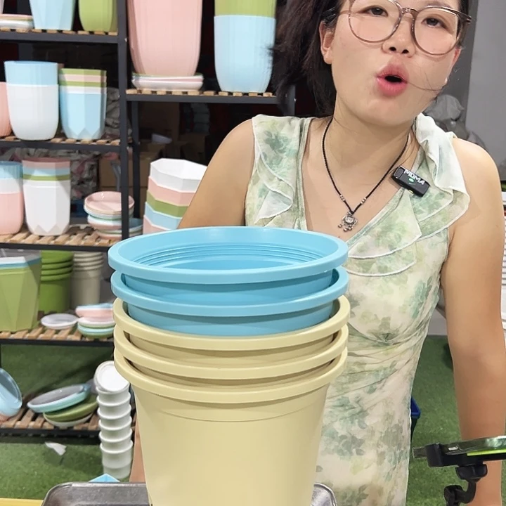 圆控口21高21混色5只带托