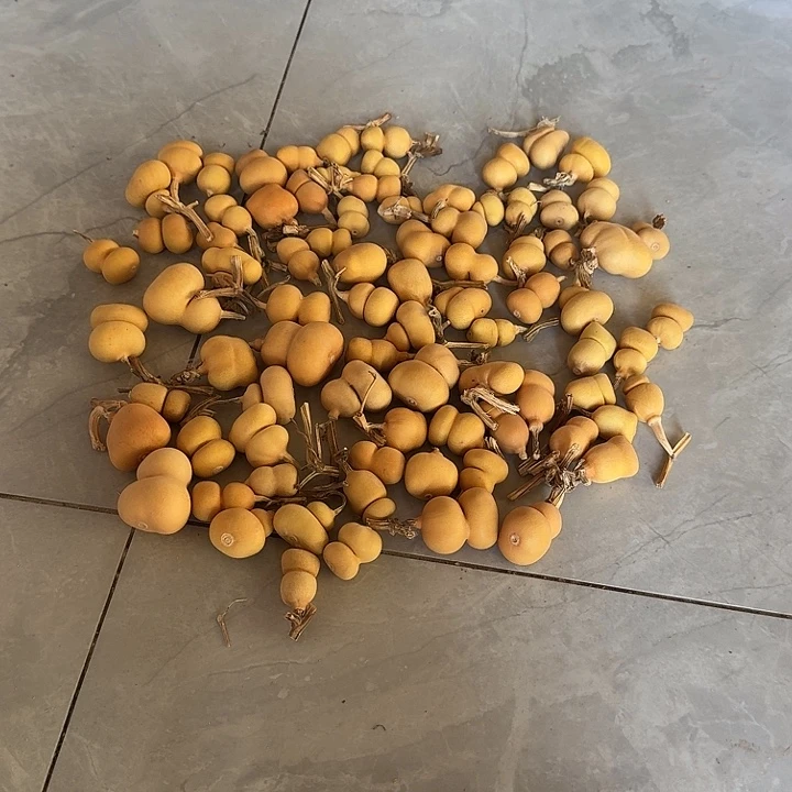 *****抖音直播频道是我唯一