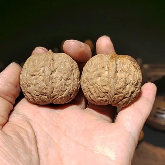 把件文玩核桃福利蛇皮元宝36尺