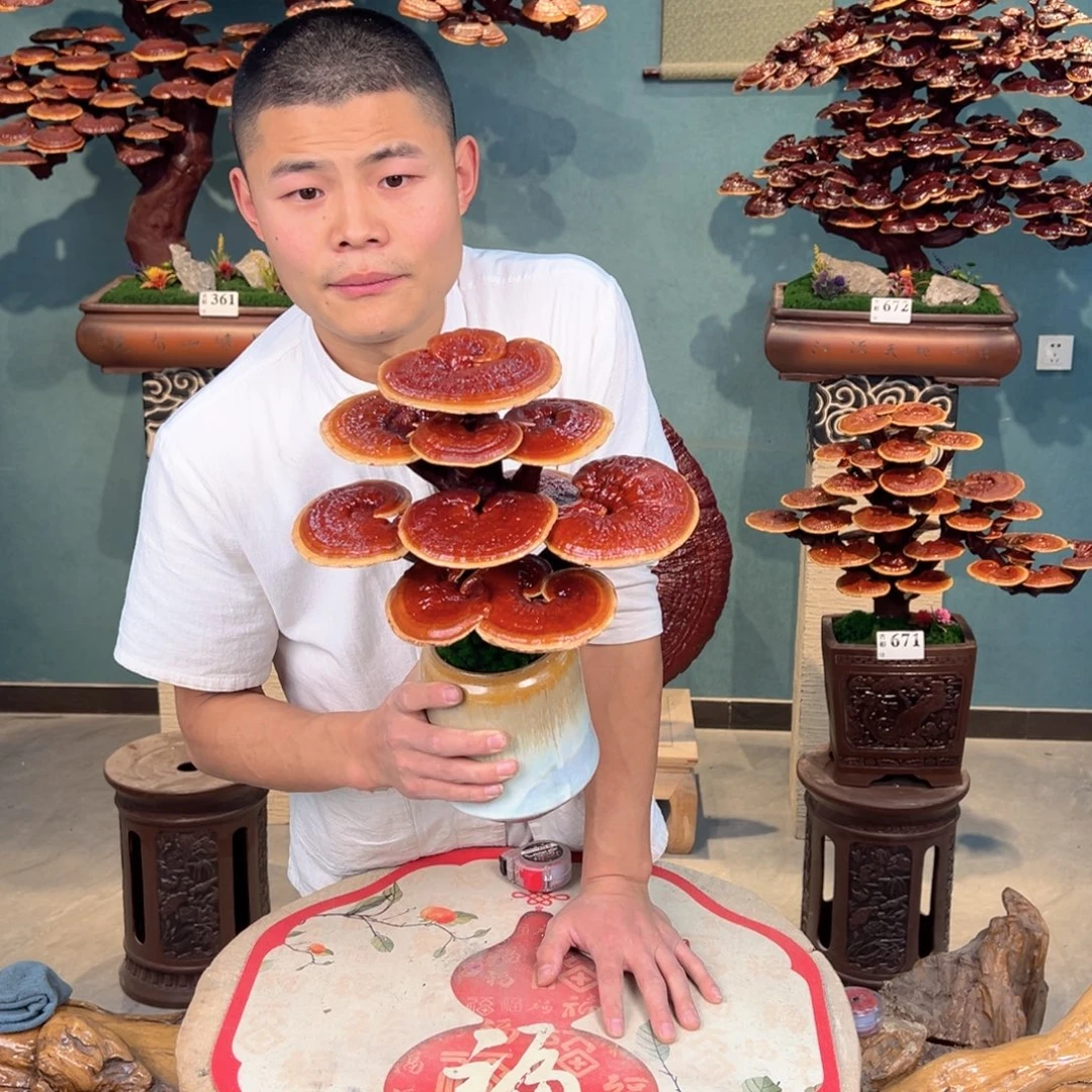 无花朵88888888888888