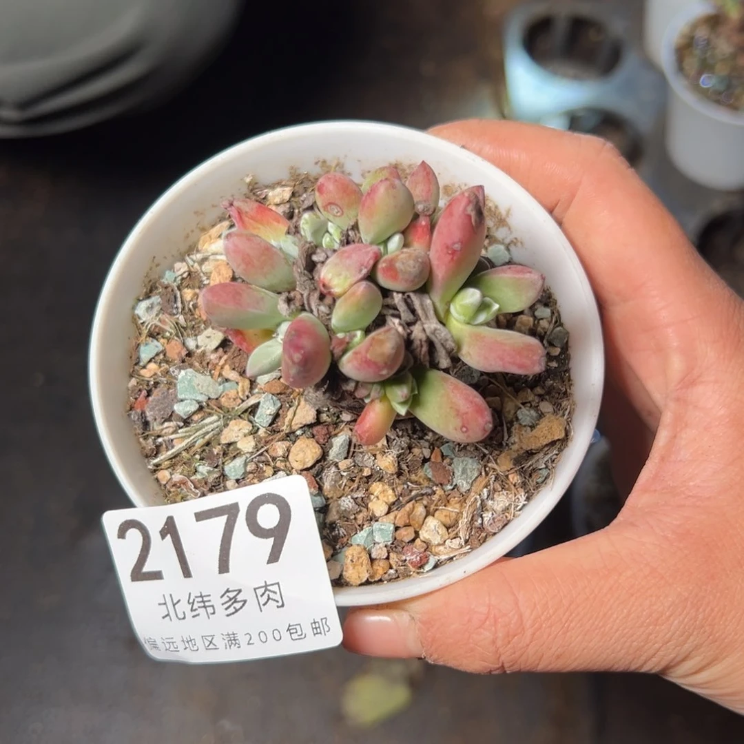2179哈哈哈哈哈哈哈哈